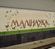 фотография станции метро Малиновка